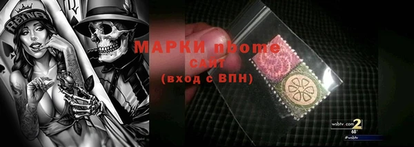 эйфоретик Няндома