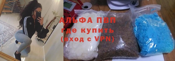 спайс Новодвинск