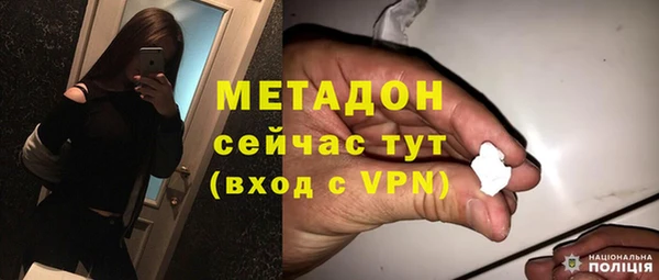 эйфоретик Няндома
