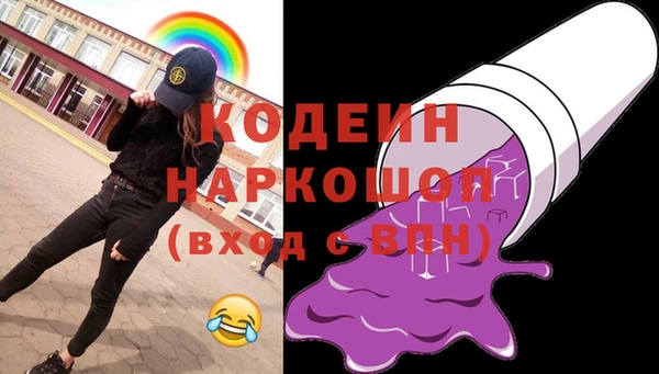 дмт Вяземский