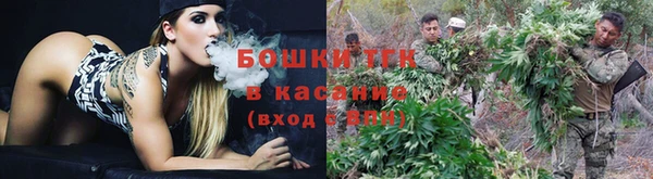 спайс Новодвинск