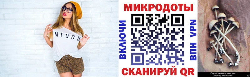 как найти закладки Калязин Галлюциногенные грибы Psilocybine cubensis